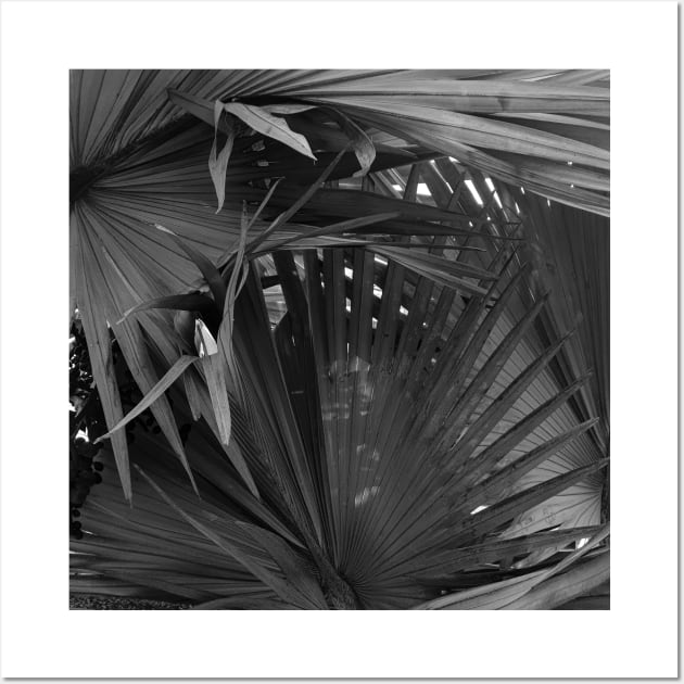 Noir Palm tree - black and white - nature photography Wall Art by ArtByMe